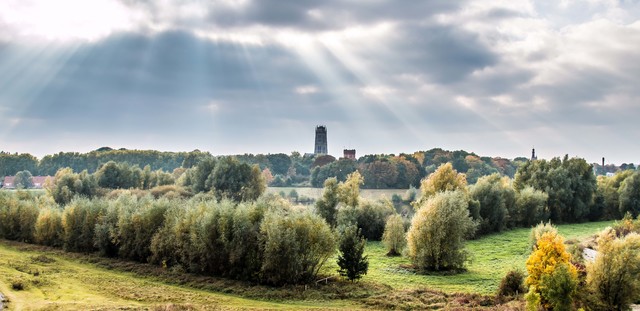 Het landschap in de Bommelerwaard